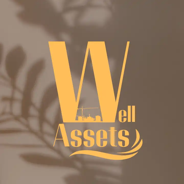 Well Assets